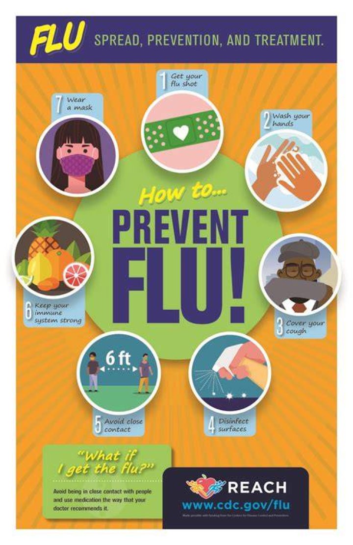 How can you prevent equine influenza?