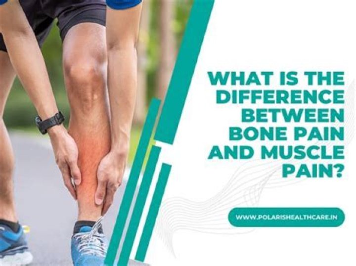How can you tell the difference between muscle pain and kidney pain?