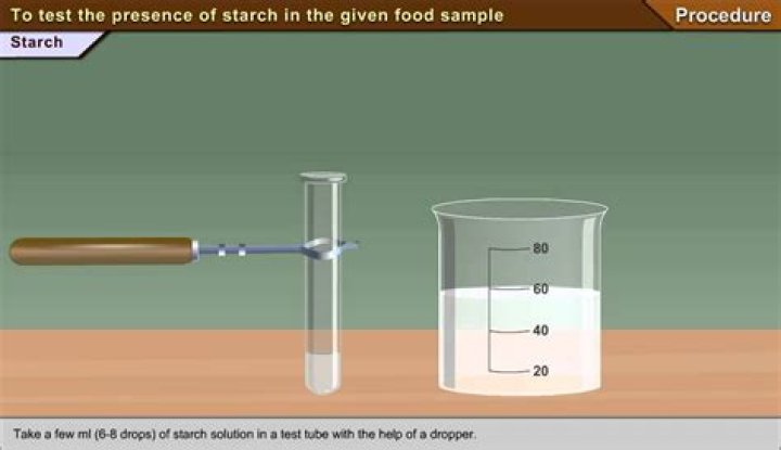 How can you test presence of proteins and starch in a given food item?