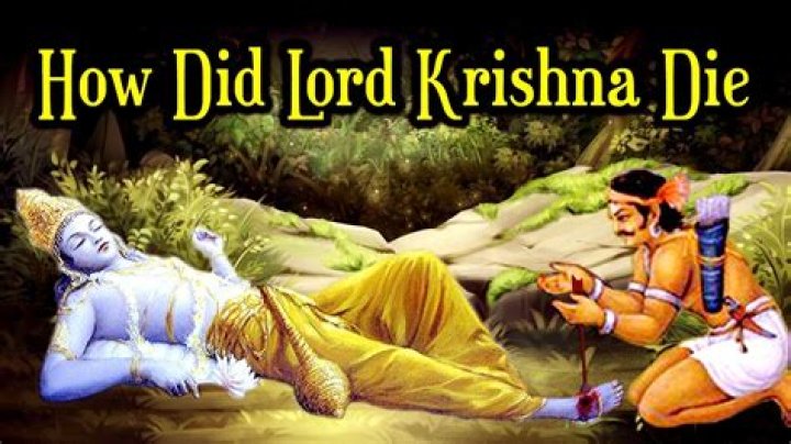 How did Krishna's clan died?