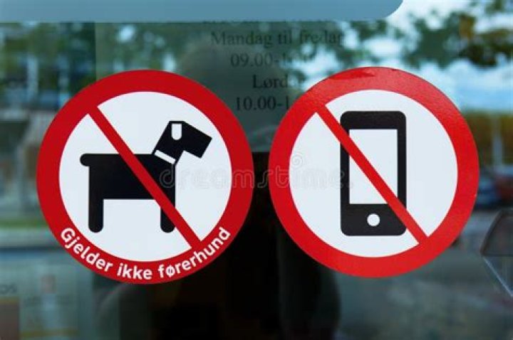 How do dogs detect cell phones?