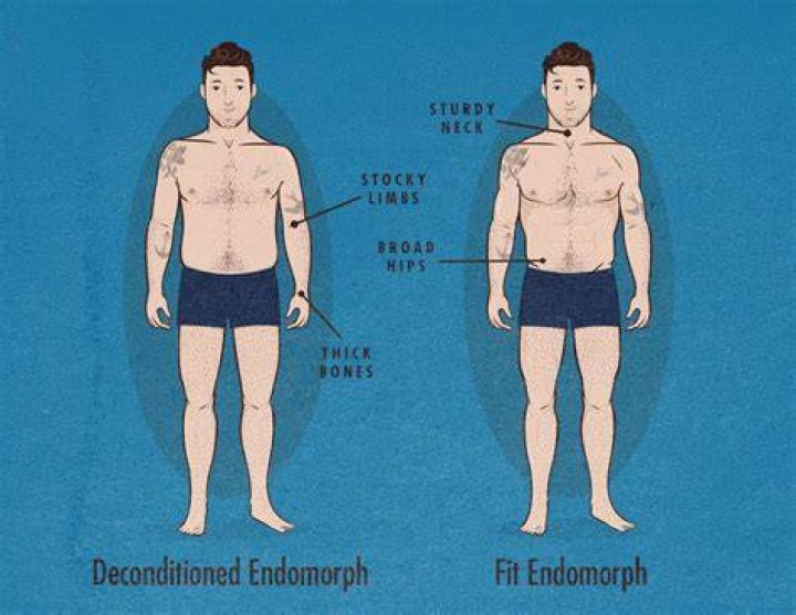 How do Endomorphs get big?