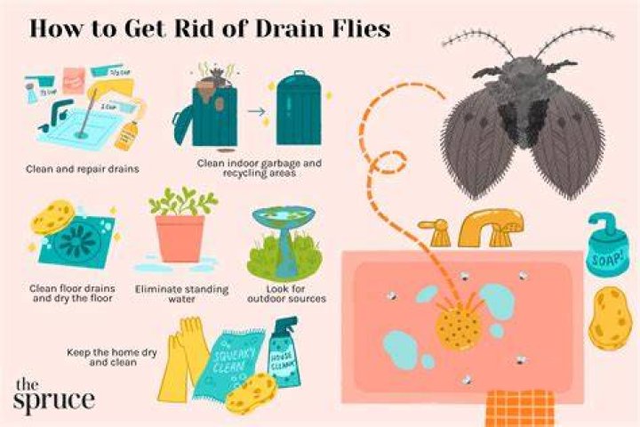 How do I get rid of lice in my bedroom?