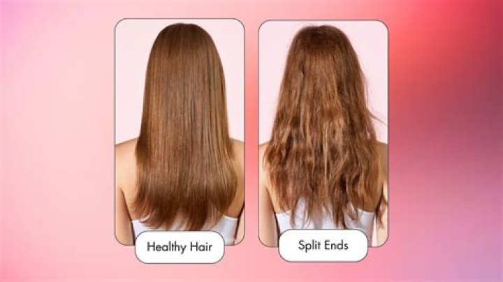 How do I get the ends of my hair healthy?