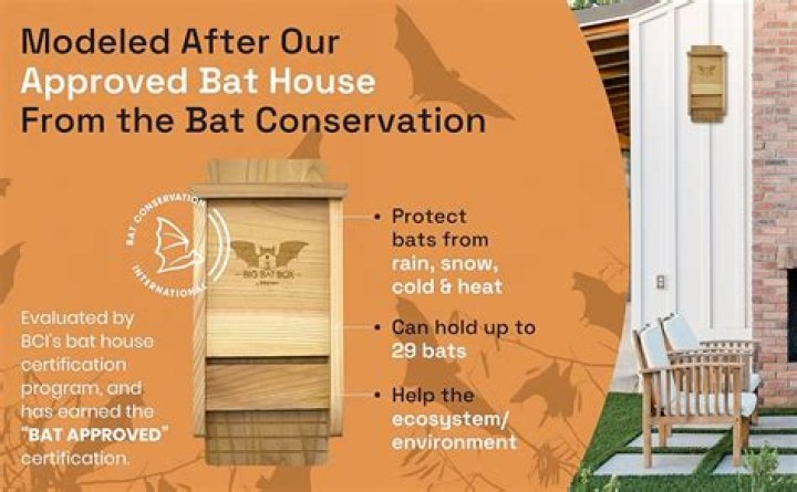 How do I know if my bat house is occupied?