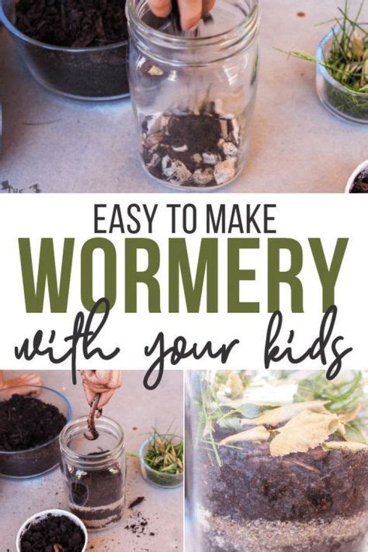 How do I know if my worms are happy?