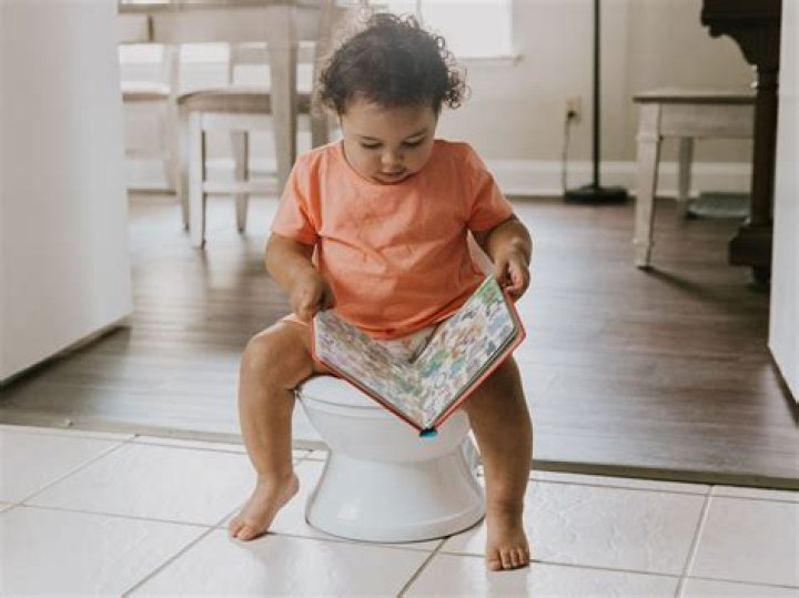 How do I potty train my 3 year old daughter?