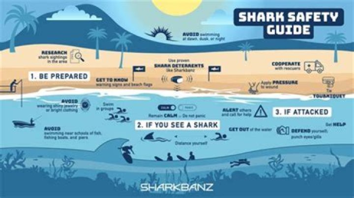 How do surfers avoid sharks?