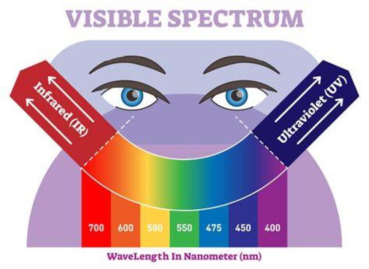 How do we see violet?