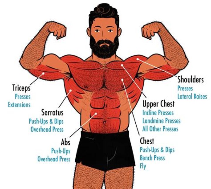 How do you build muscles?
