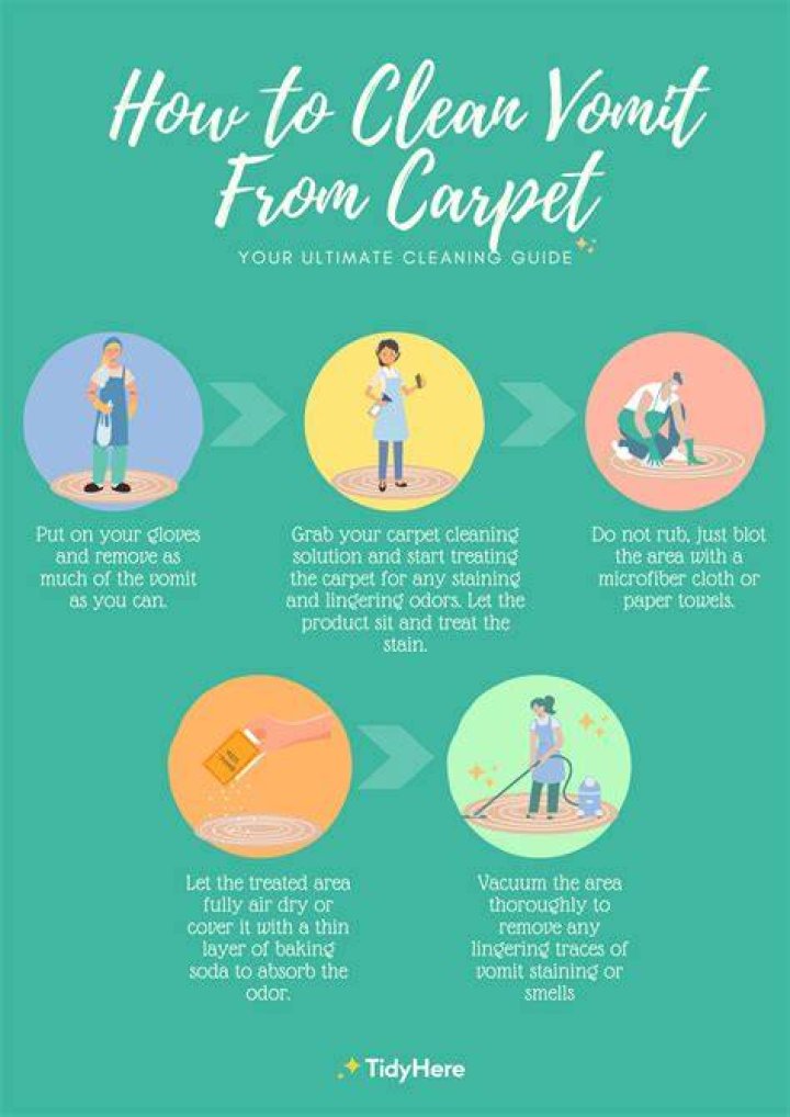 How do you clean vomit out of carpet without a vacuum?