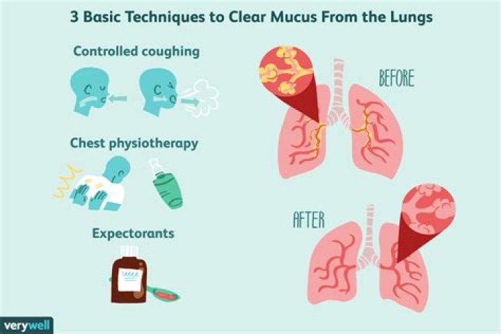 How do you clear your lungs and chest?