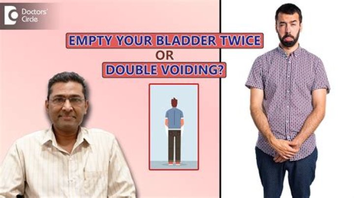 How do you double void your bladder?
