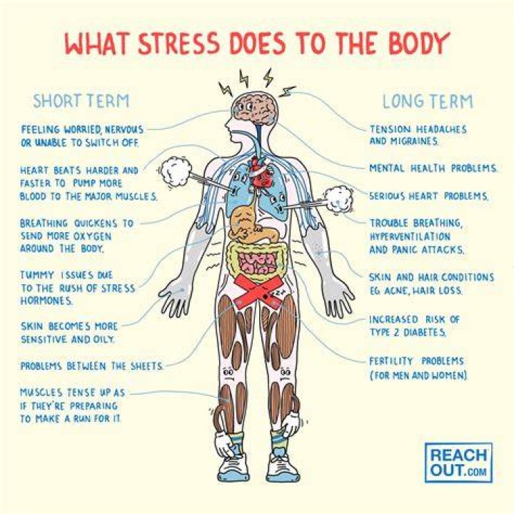 How do you fight stress?