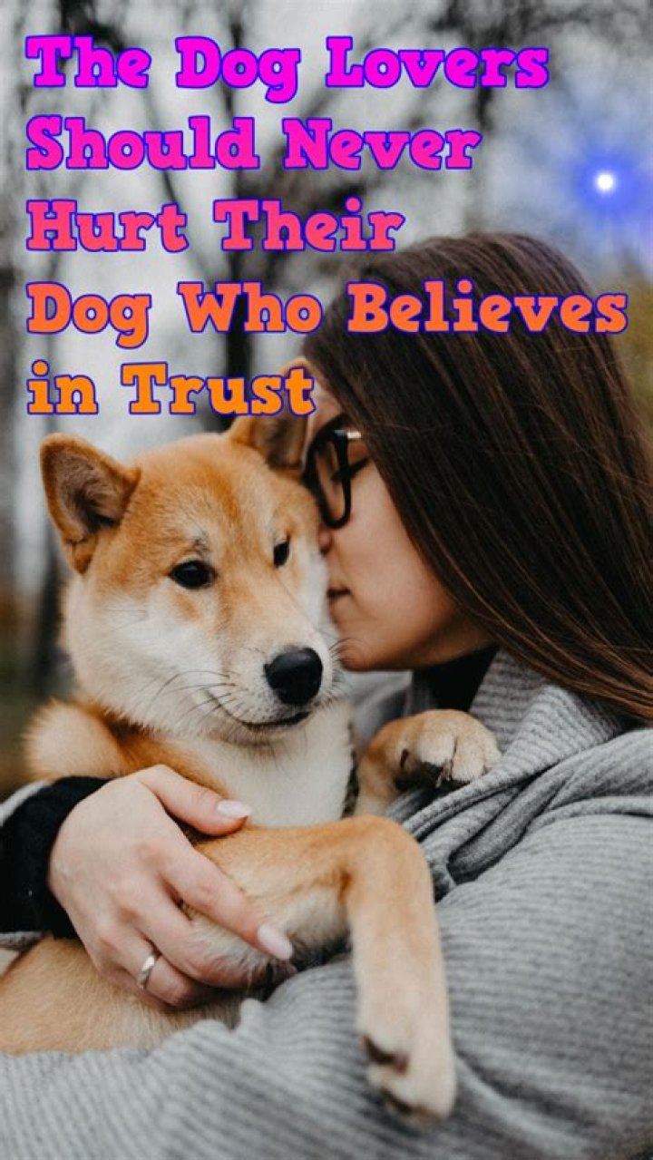 How do you get a puppy to trust you?