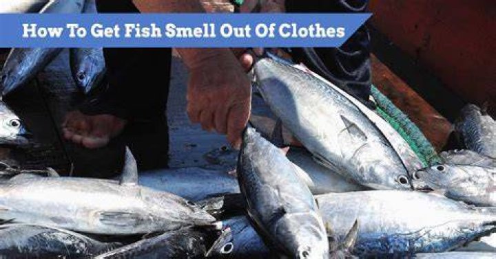 How do you get fish smell out of a backpack?