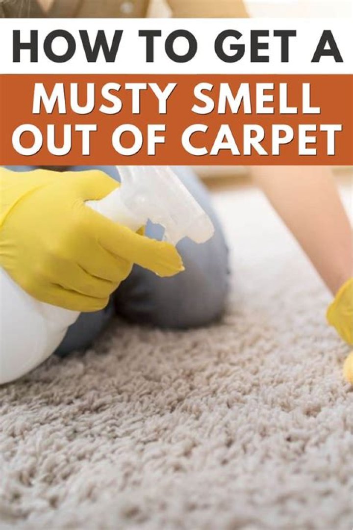 How do you get kid urine smell out of carpet?