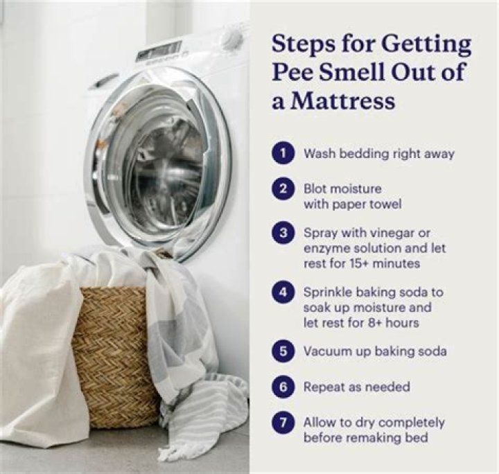 How do you get pee out of memory foam?
