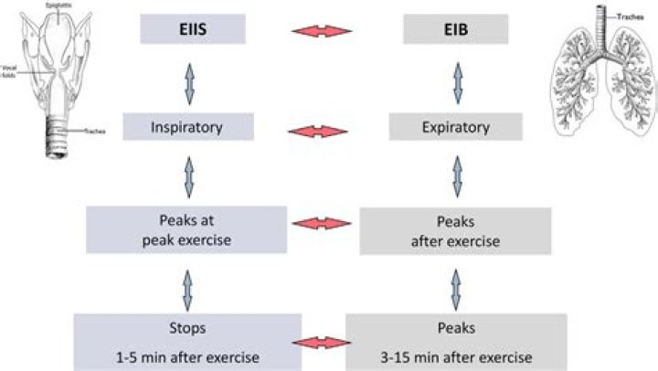 How do you get rid of exercise-induced bronchospasm?