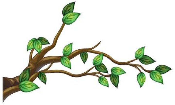 How do you get the branch of the tree of shades?