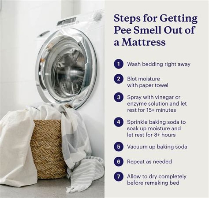How do you get the pee smell out of a couch that has been dried?