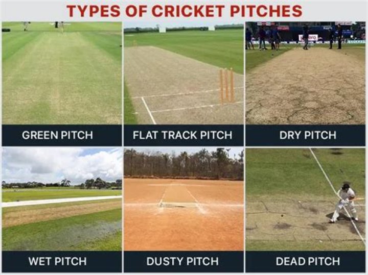 How do you grow grass on a cricket pitch?