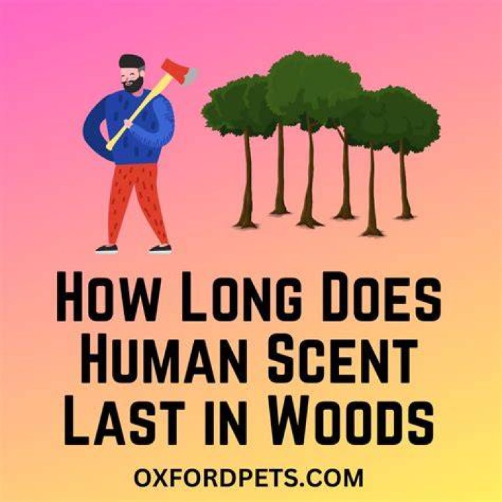 How do you hide human scent?