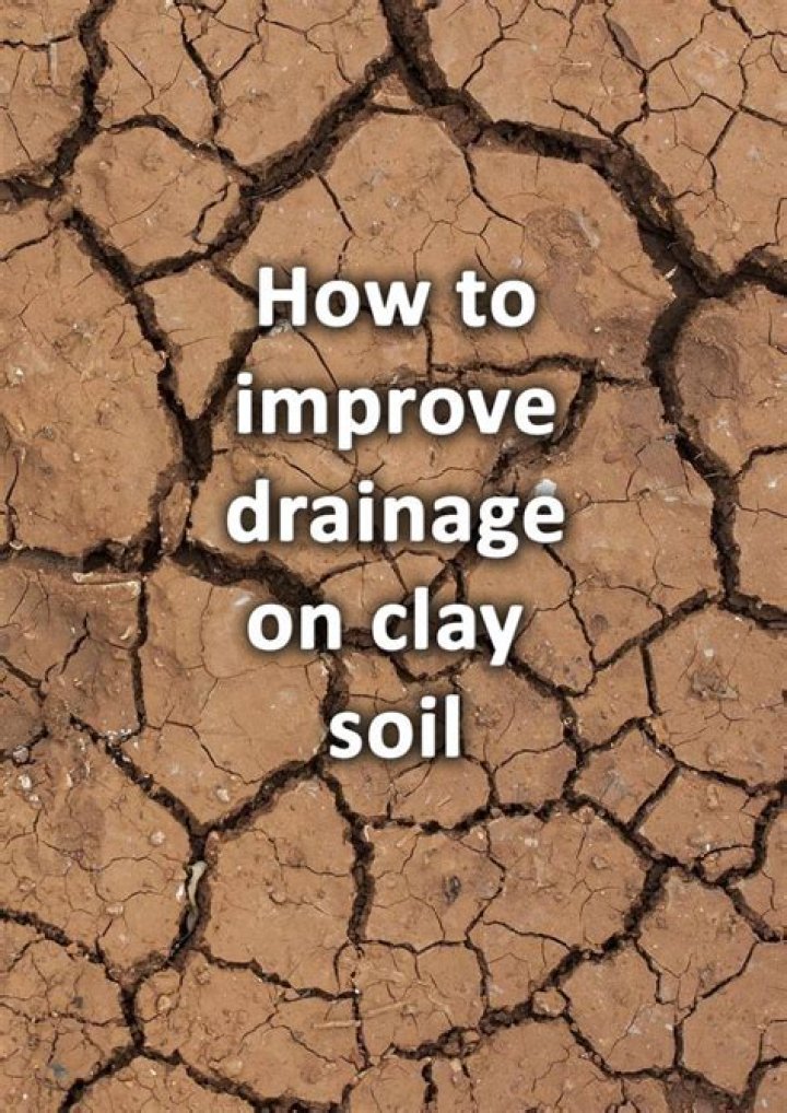 How do you improve drainage in clay soil?