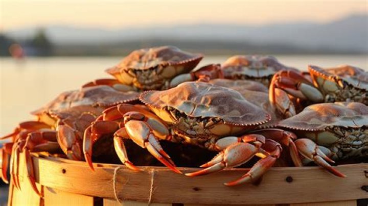 How do you know when crabs are done?