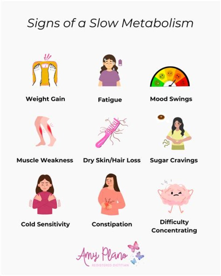 How do you lose weight with a slow metabolism?
