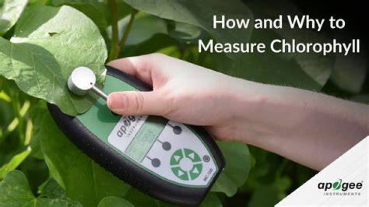 How do you measure chlorophyll fluorescence?