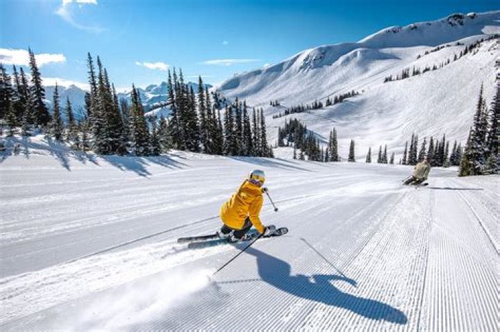How do you practice skiing in off season?