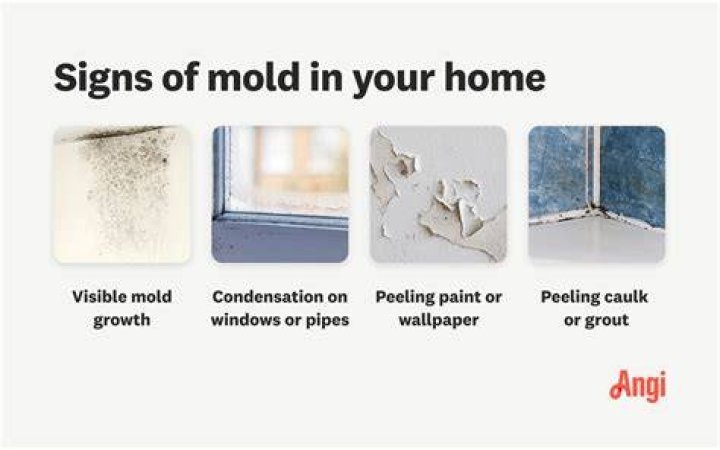 How do you tell if there is mold in your Keurig?