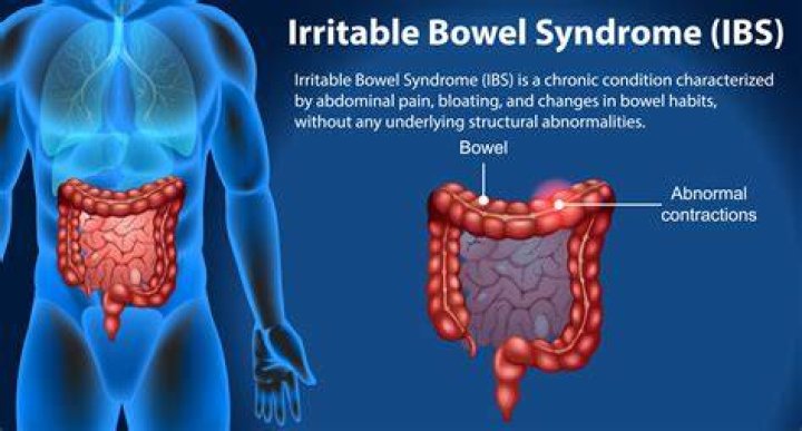 How do you treat irritable bowel syndrome in dogs?