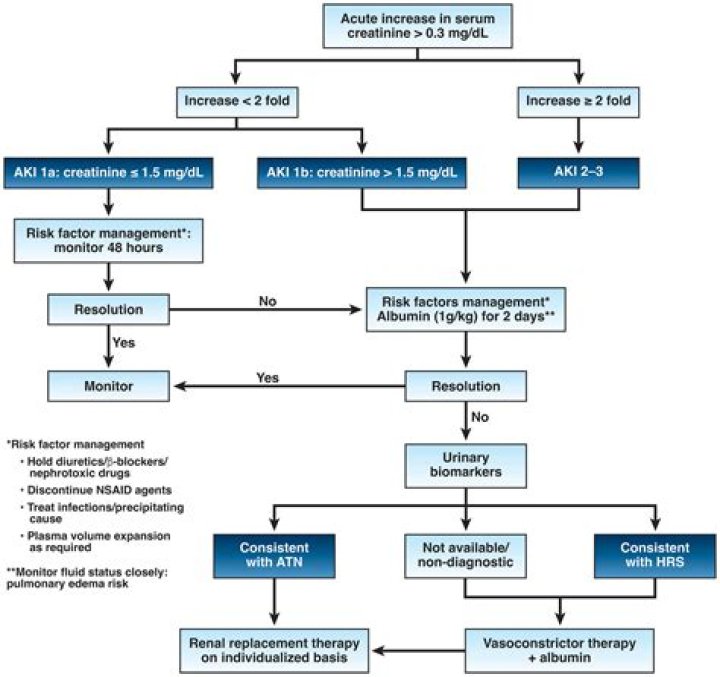 How do you treat periosteum?