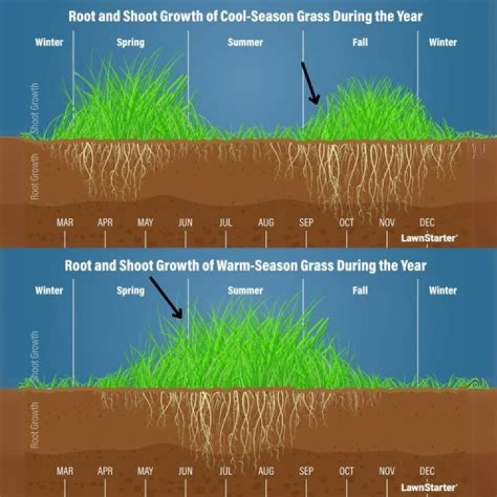 How does grass grow at Minute Maid Park?