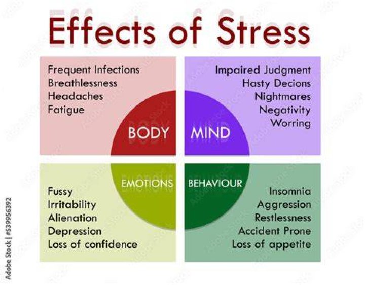 How does stress affect your brain?