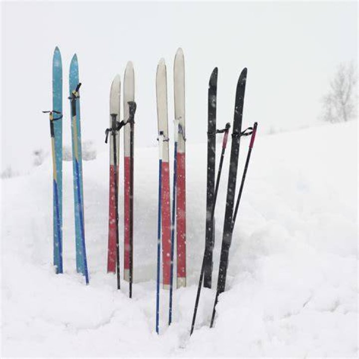 How expensive are nice skis?