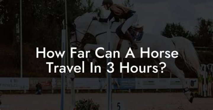 How far can a horse travel in 3 hours?