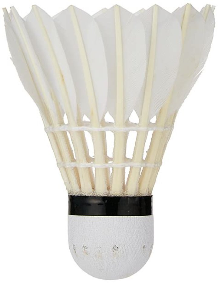 How fast does a shuttlecock go?