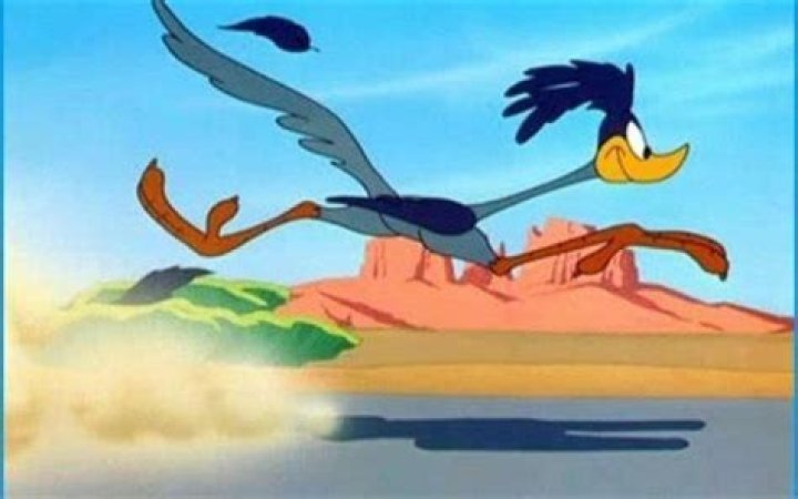How fast is Roadrunner from Looney Tunes mph?