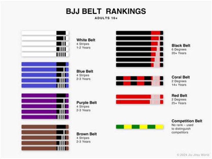 How long after starting BJJ can you compete?