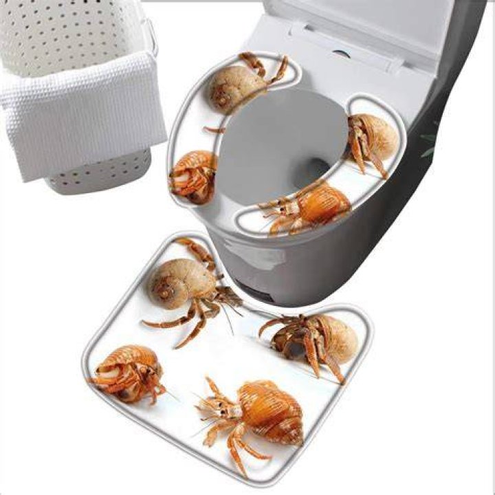 How long can crabs live on a toilet seat?