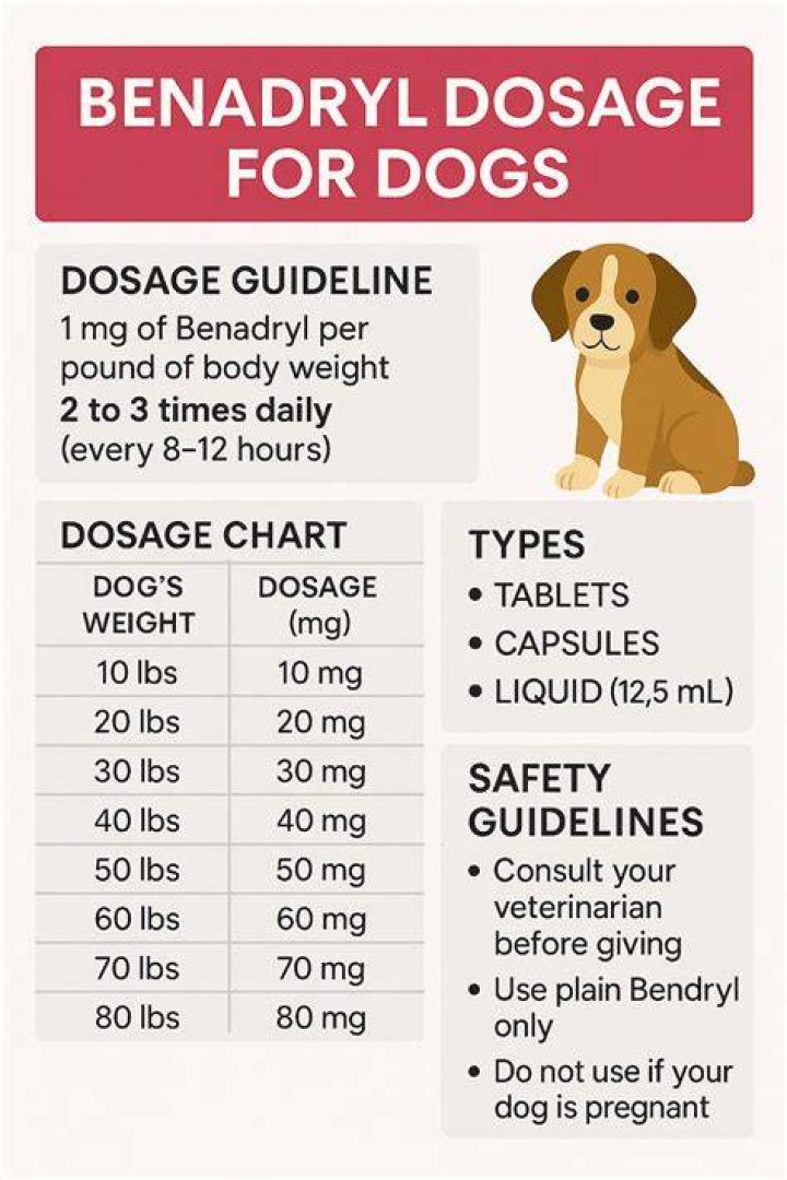 How long does Benadryl last in a dog?