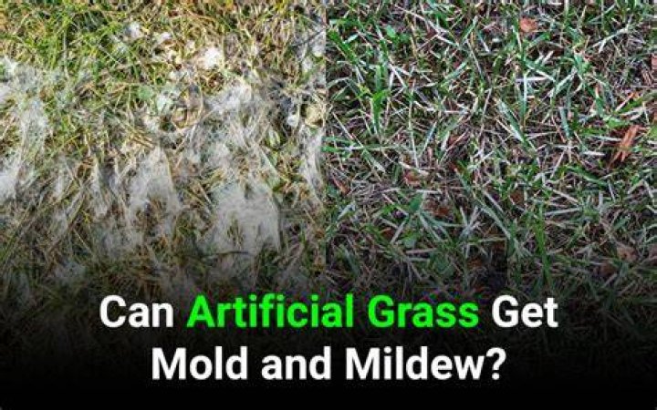 How long does it take for artificial grass to settle?