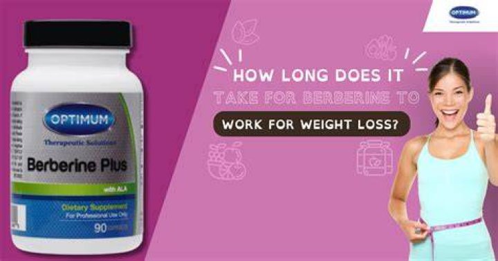 How long does it take for berberine to work for weight loss?