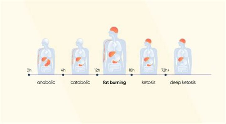 How long does it take for your body to start burning stored fat?