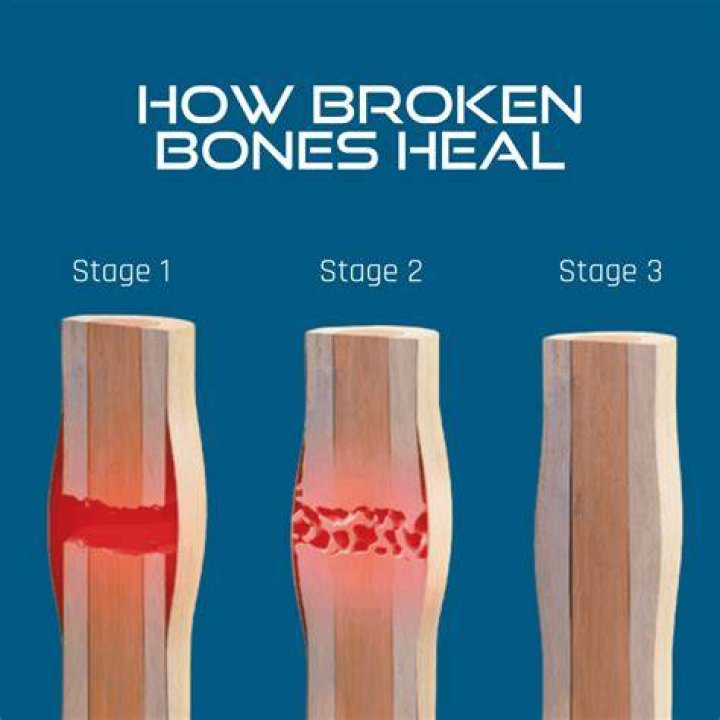 How long does it take to break in a AXE bat?