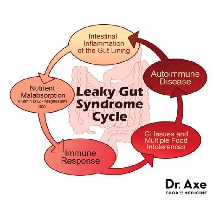 How long does leaky gut take to heal?
