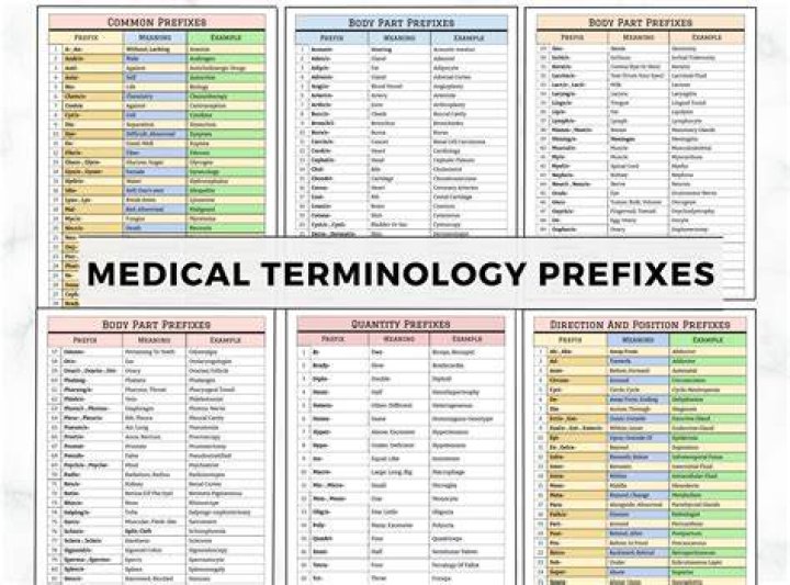 How long learn medical terminology?